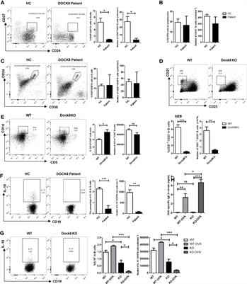 IL-21 Rescues the Defect of IL-10-Producing Regulatory B Cells and Improves Allergic Asthma in DOCK8 Deficient Mice